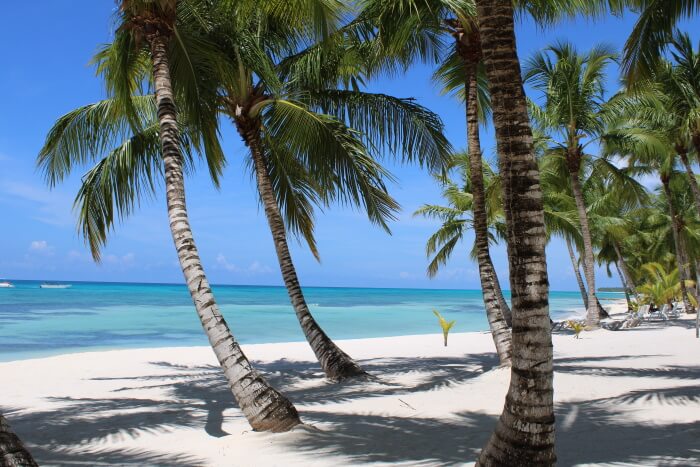 punta cana For Single Guys